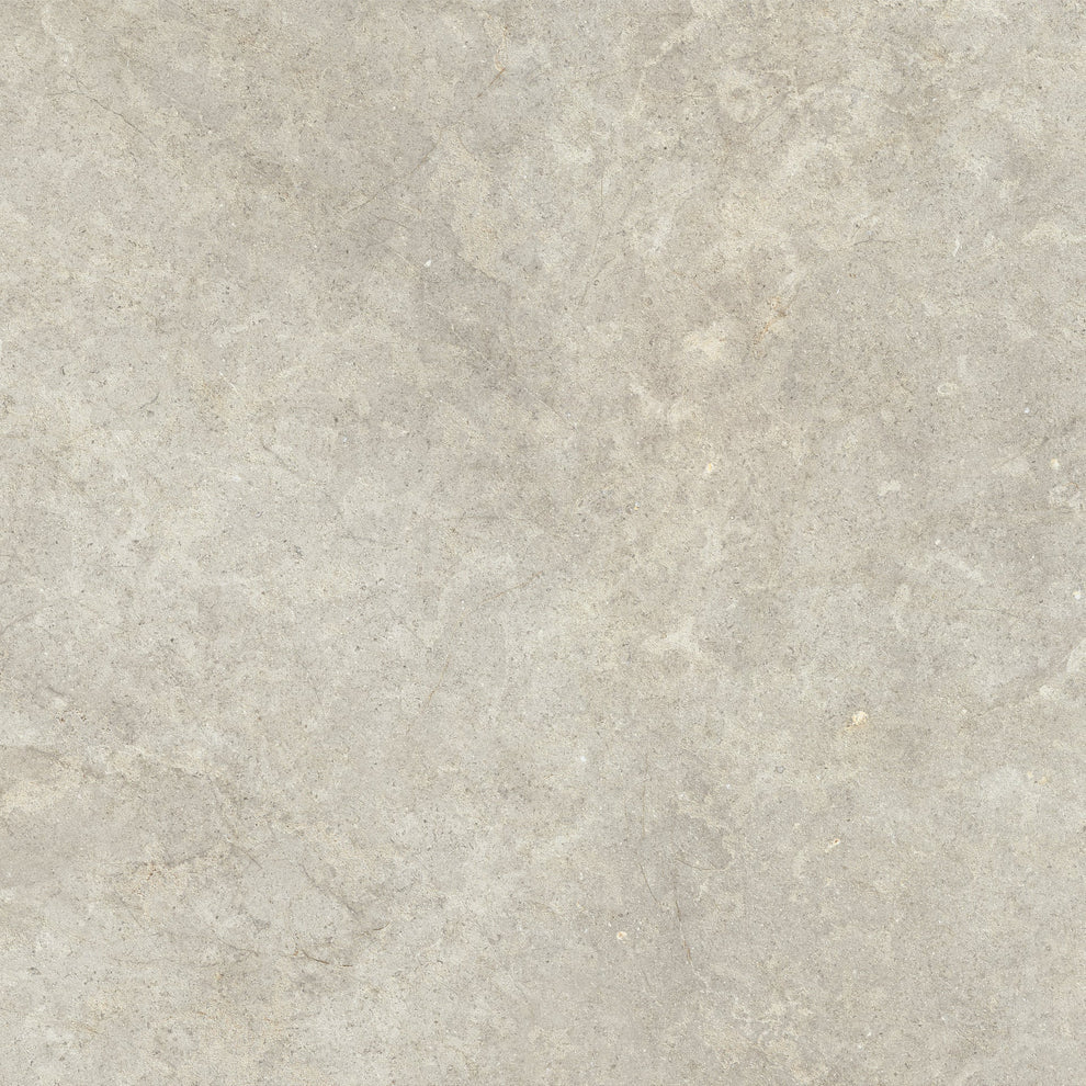 RAGNO RICHMOND TAUPE 100X100 RETTIFICATO - GRES PORCELLANATO ESMA SRL