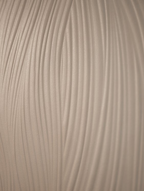 FAP TRUE COLOR WAVE FOSSIL 50X120 - PIASTRELLA DA RIVESTIMENTO ESMA SRL